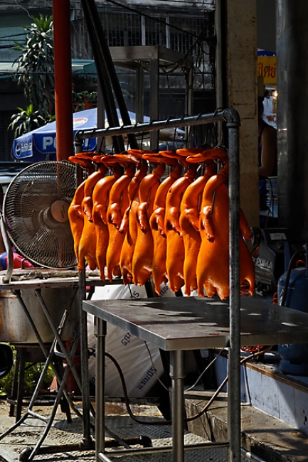 Nouvel an chinois 2011-002